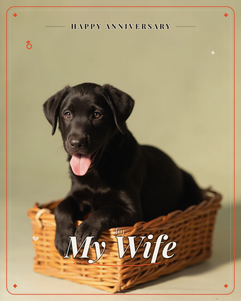 A black Labrador puppy sits upright in a woven wicker basket, front paws draped over the rim, tongue out in a happy pant, a anniversary e-card design