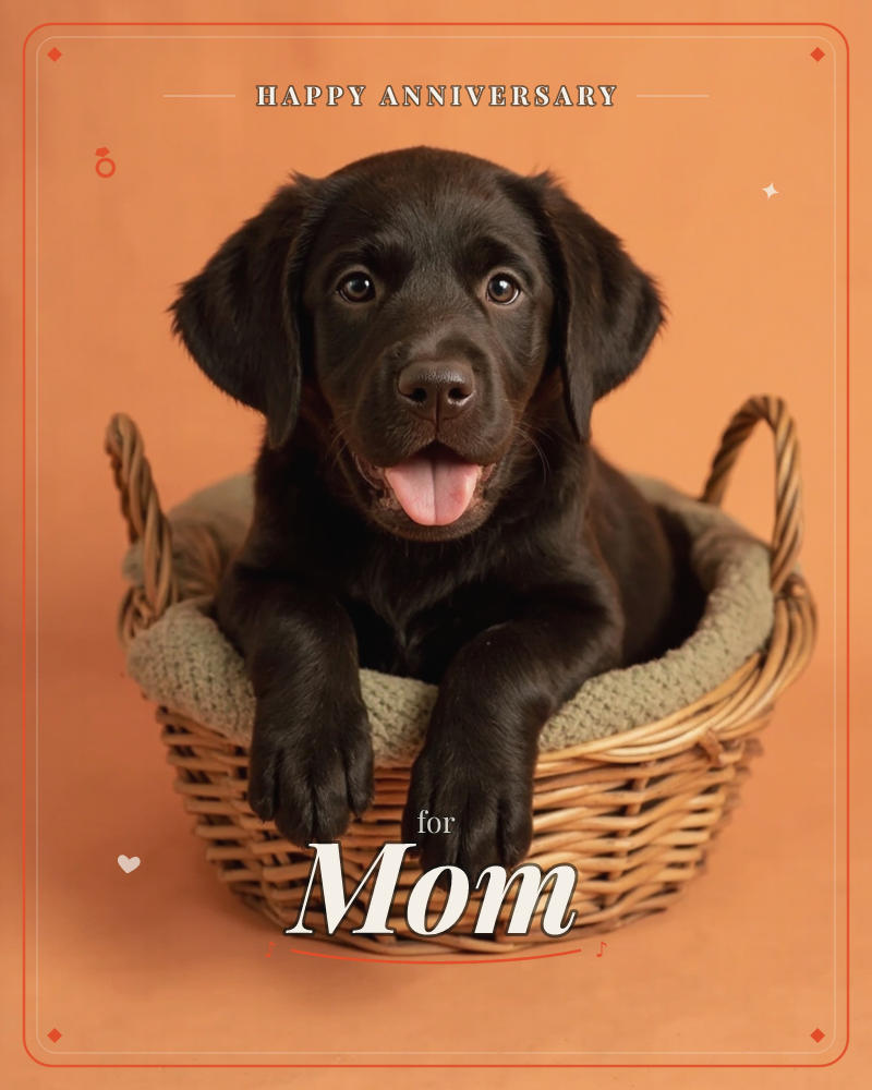 A chocolate-brown Labrador puppy sits inside a wicker basket lined with a knitted cushion, paws draped over the rim and tongue happily out, a anniversary e-card design