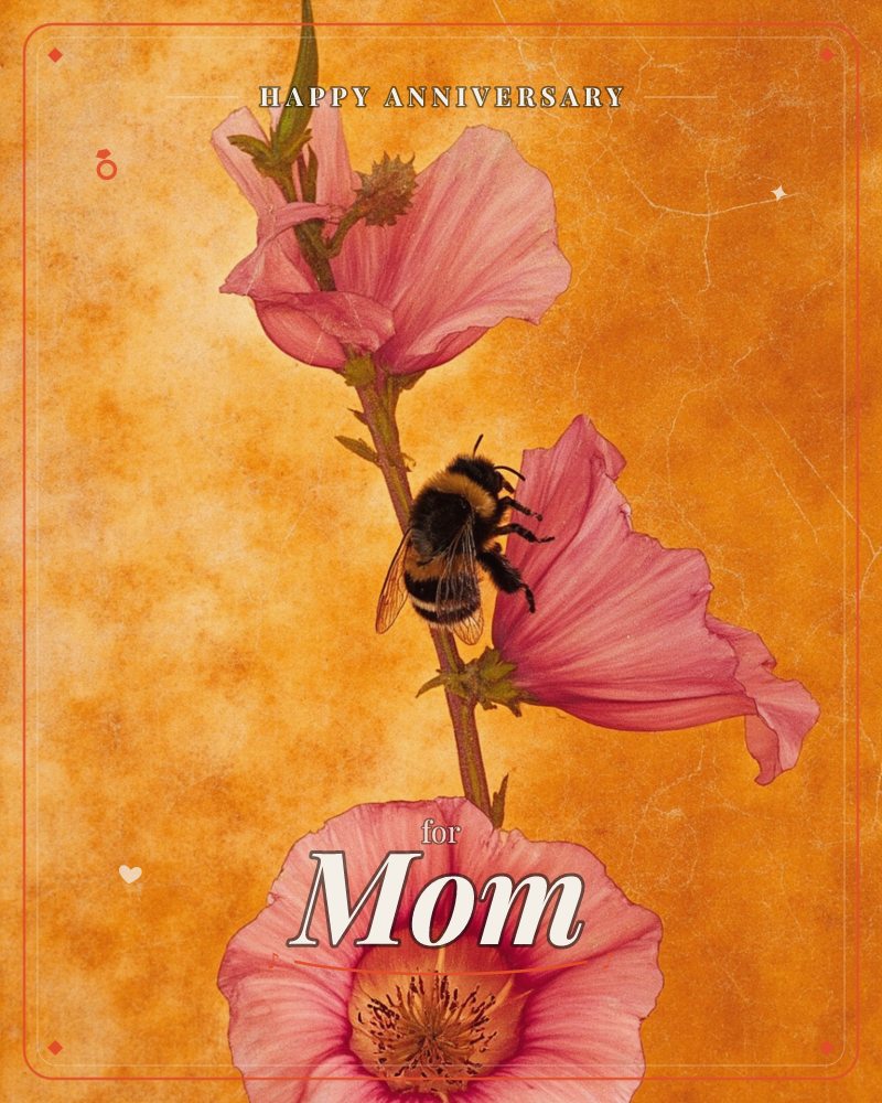 A stem of pink hollyhock blossoms rises against a mottled, sun-warmed orange background with a crackled, aged texture, a anniversary e-card design