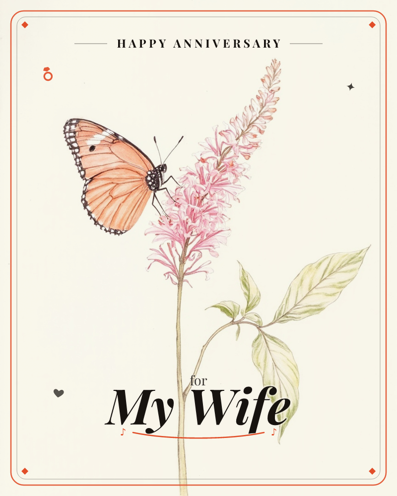 A single orange-winged butterfly rests on a tall spike of pink flowers, its wings folded upright as it perches near the tip of the bloom, a anniversary e-card design