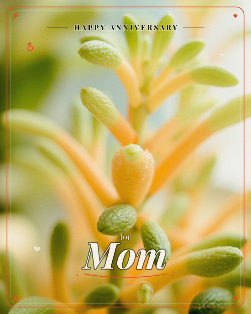 A close-up photograph of a curling orange flower spike studded with soft green buds, shot with a shallow depth of field that melts the background into…, a anniversary e-card design