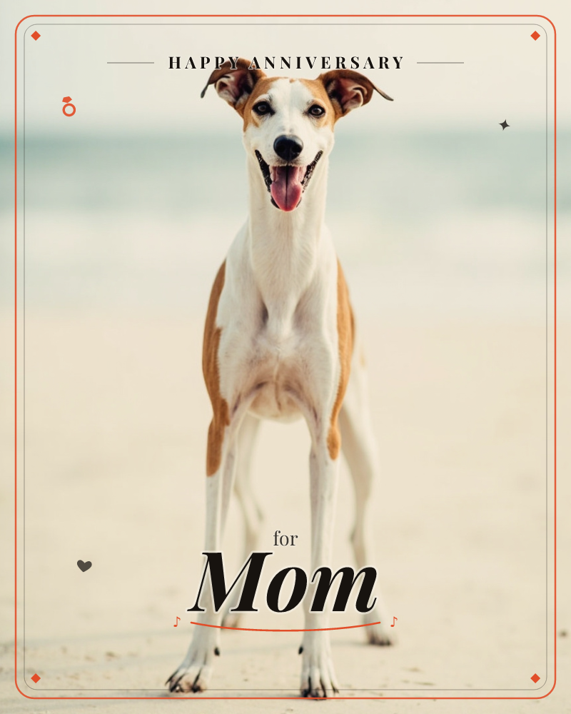 A lean, white-and-tan hound stands squarely on a pale sandy beach, tongue out and ears pricked in an alert, happy grin, a anniversary e-card design
