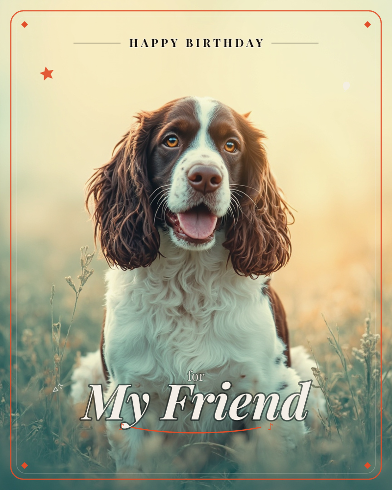 A liver-and-white springer spaniel sits in tall grass, mouth open in a happy pant, long ears framing a white blaze down its face, a birthday e-card design