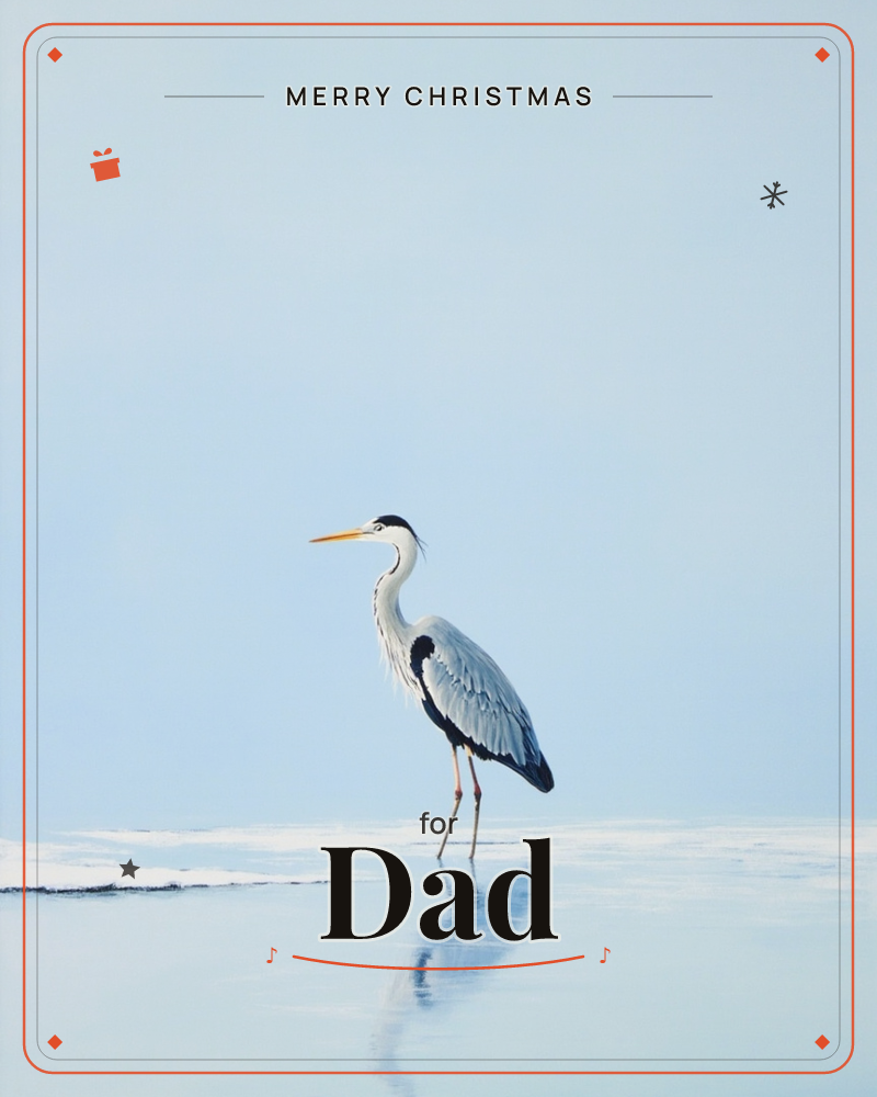A grey heron stands alert on a sheet of pale ice, its long yellow bill catching the light as it watches something just out of frame, a christmas e-card design