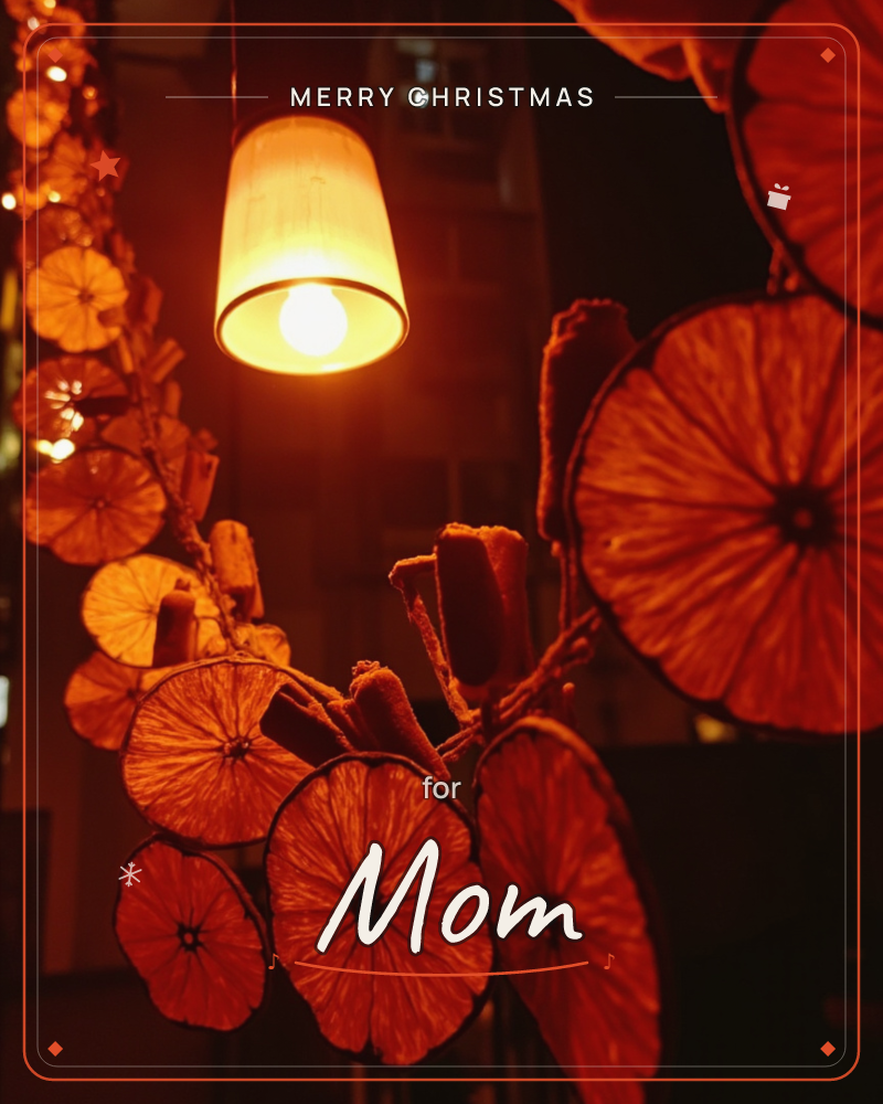 Dried citrus slices strung together on a garland glow amber under a single hanging bulb against a dark night backdrop, a christmas e-card design