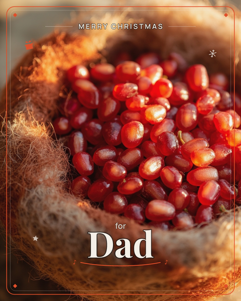 A close-up photograph shows glossy pomegranate seeds heaped inside a rough woven coconut-fibre basket, catching warm sunlight, a christmas e-card design