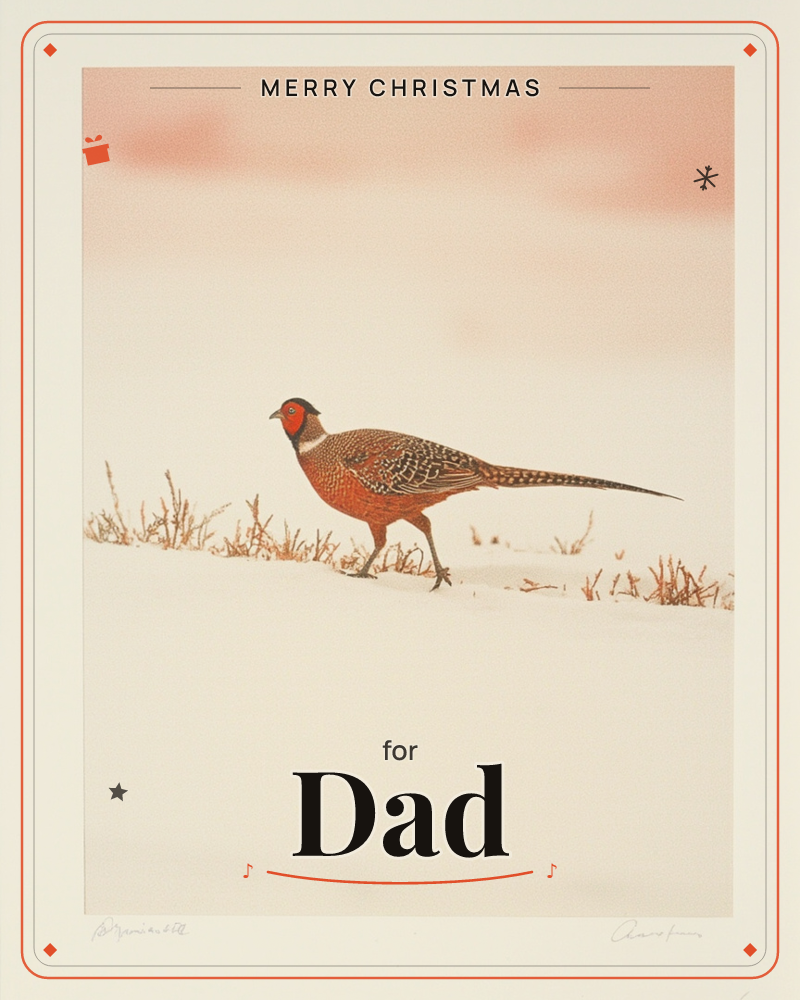 A cock pheasant strides across a snowy field, its copper and speckled feathers vivid against a pale winter sky washed in soft pink and peach, a christmas e-card design