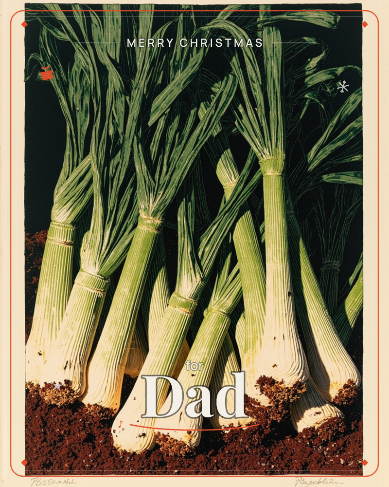 A cluster of freshly pulled leeks stands upright against an inky black background, their pale ribbed stalks still clumped with dark soil and their…, a christmas e-card design