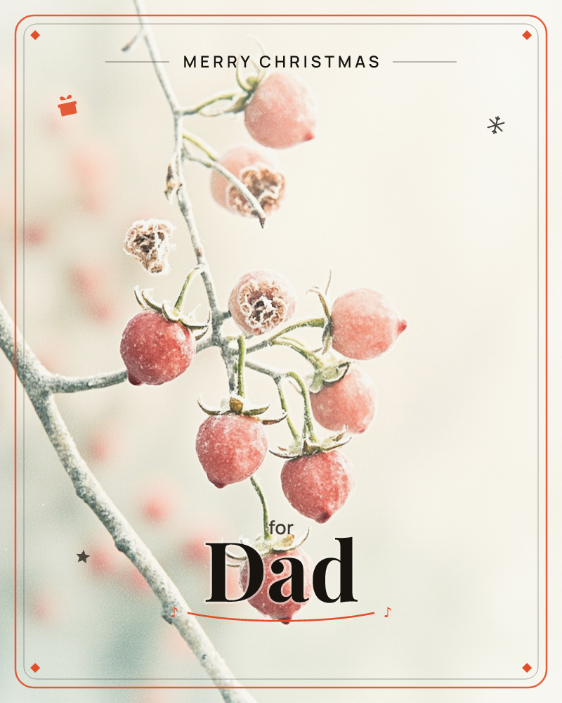 A slender branch of rose hips hangs heavy with frost, their dusty pink-red skins dusted in pale crystals against a soft, hazy cream background, a christmas e-card design