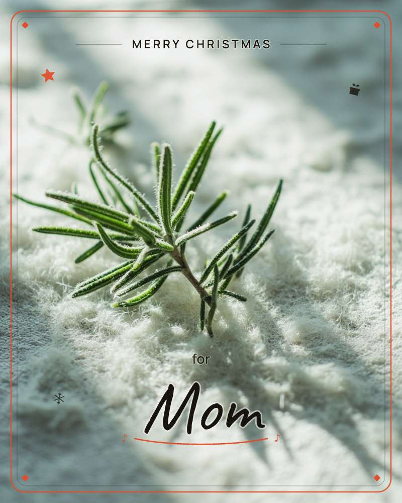 A small sprig of rosemary rests on a bed of soft, snow-like white fibres, its needles frosted with fine crystals catching the light, a christmas e-card design