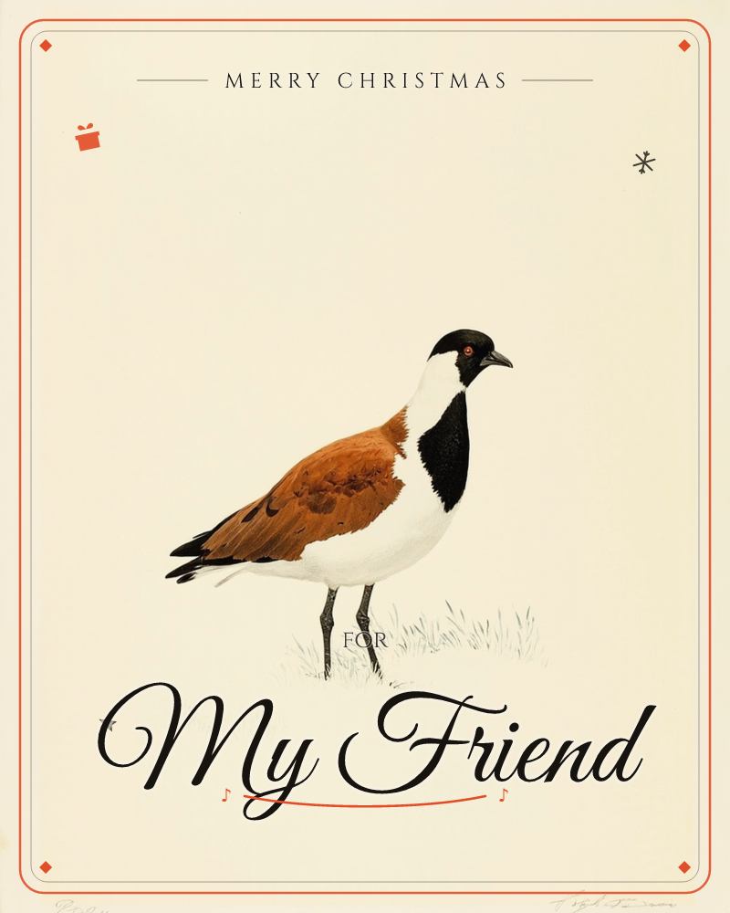 A single plover-like bird stands in profile on a sparse tuft of grass, its black hood and throat band framing a white breast and chestnut-brown wings, a christmas e-card design