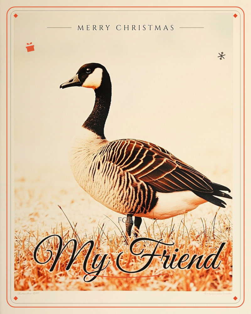 A Canada goose stands in profile on dry, straw-coloured grass, its black head and white cheek patch sharply lit against a soft, hazy backdrop, a christmas e-card design