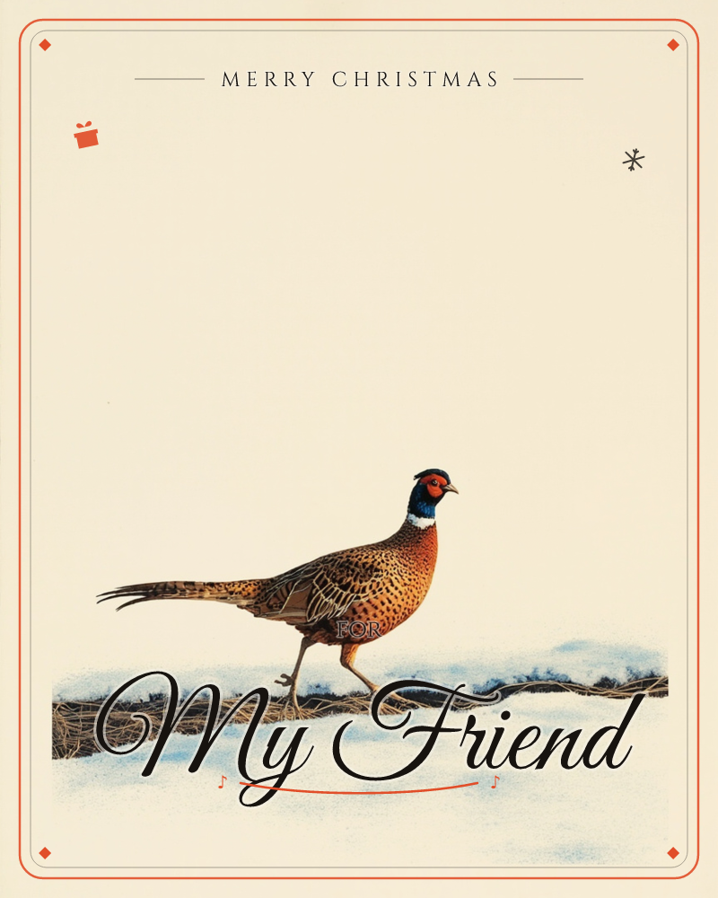 A cock pheasant strides across a snowy ridge of dry grasses and stubble, its copper and bronze plumage glowing against a plain cream background, a christmas e-card design