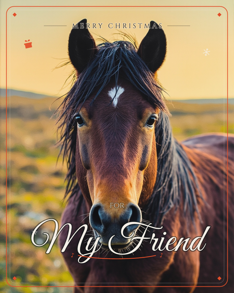 A bay horse with a black mane and a small white star on its forehead stares straight into the camera against an open, scrubby field lit by golden…, a christmas e-card design