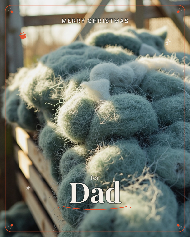 A wooden crate is piled high with raw, sheared wool fleece, its wispy fibres catching the low sunlight in soft silvery highlights, a christmas e-card design