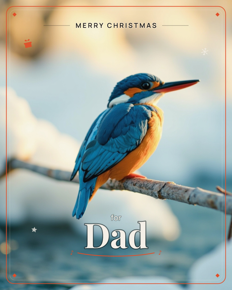 A kingfisher perches on a slender bare branch above dark winter water, its blue back and orange breast lit by low golden sunlight, a christmas e-card design