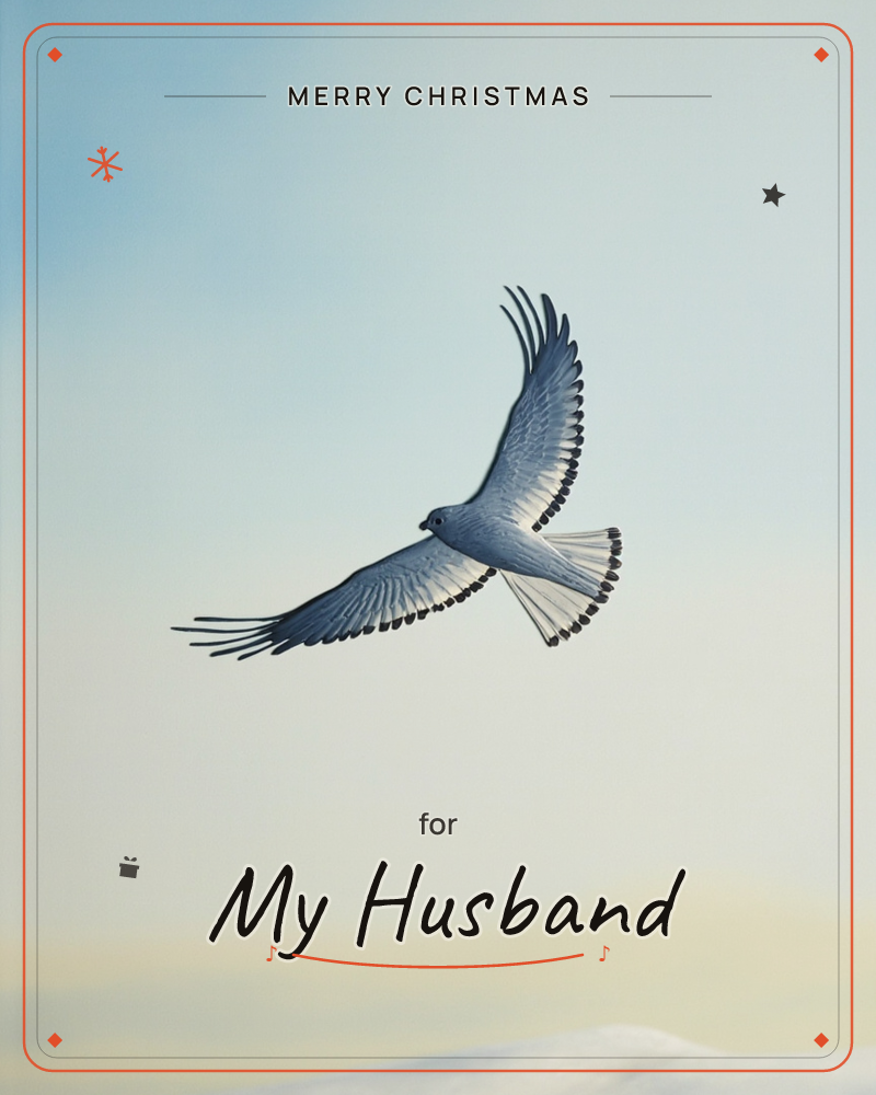 A pale grey-and-white hawk soars against a soft gradient sky, wings fully spread and fanned tail feathers catching the light, a christmas e-card design