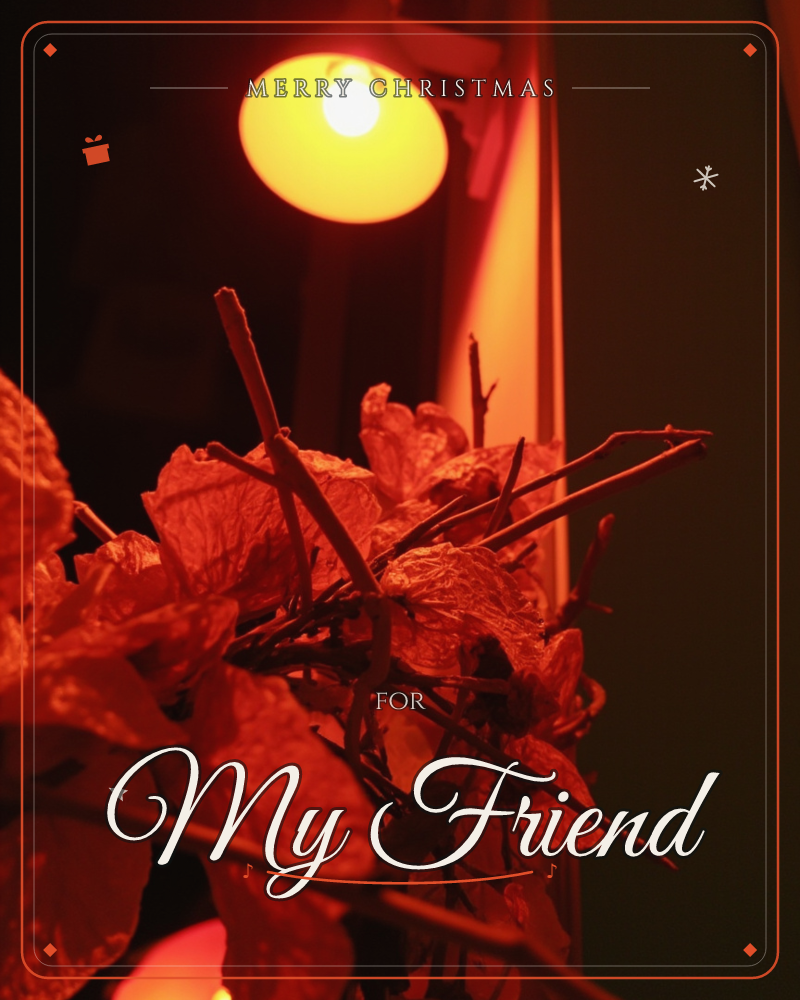 A cluster of dried, papery leaves and bare twigs glows under a single warm lamp, the whole frame bathed in deep amber and rust tones against near-black…, a christmas e-card design