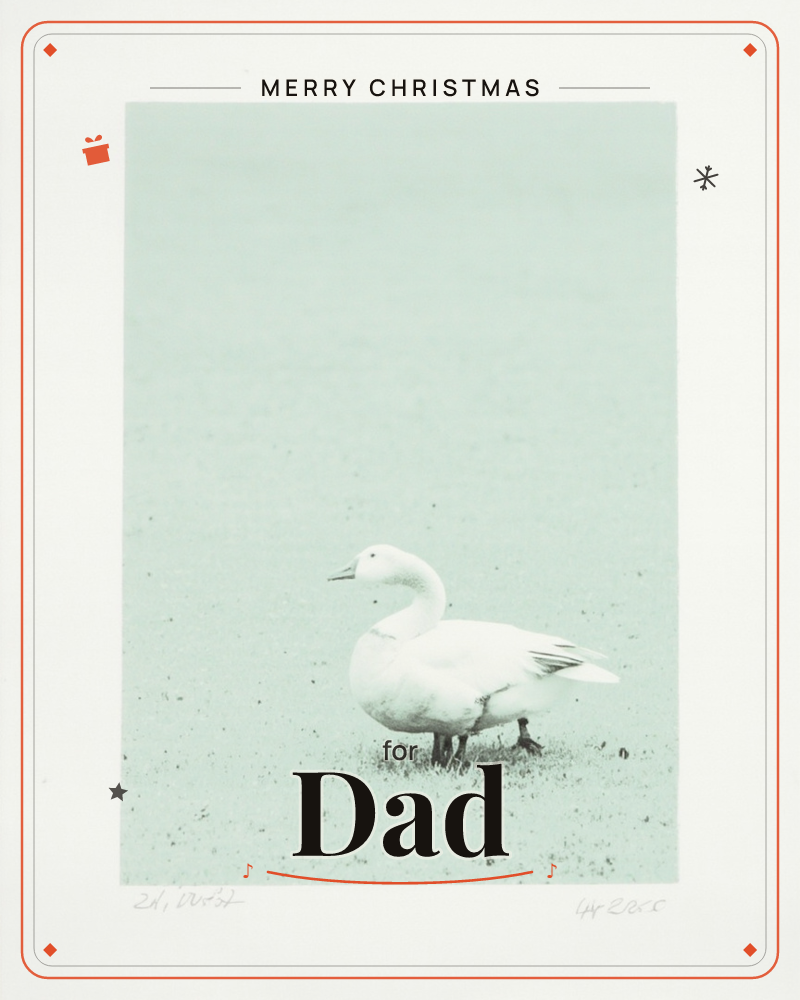 A single white goose stands in profile on a speckled field, rendered in a soft sage-green wash with a printmaker's grain, a christmas e-card design