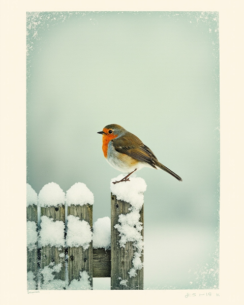 Christmas e-card design