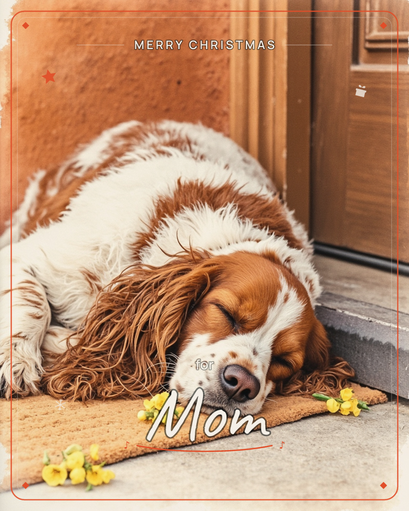 A brown and white spaniel lies fast asleep on a coir doormat beside a wooden door, its long silky ears pooled around a freckled nose, a christmas e-card design