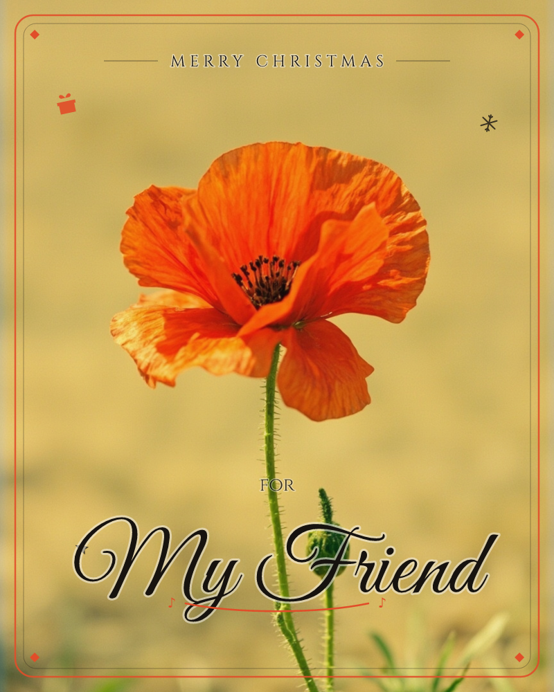 A single orange poppy stands in close-up against a soft, sunlit golden background, its papery petals glowing with backlight, a christmas e-card design