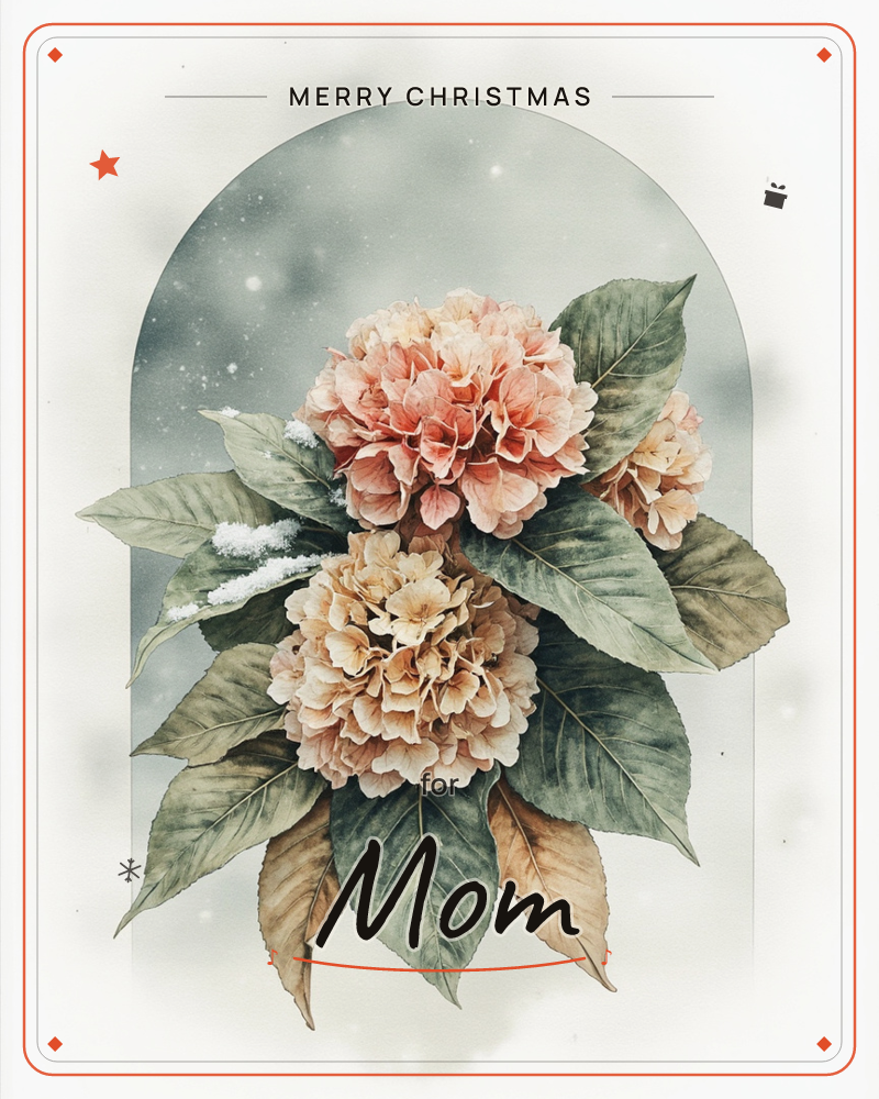 Two full hydrangea blooms, one blush pink and one creamy gold, rest against a soft grey arched backdrop dusted with falling snow, a christmas e-card design