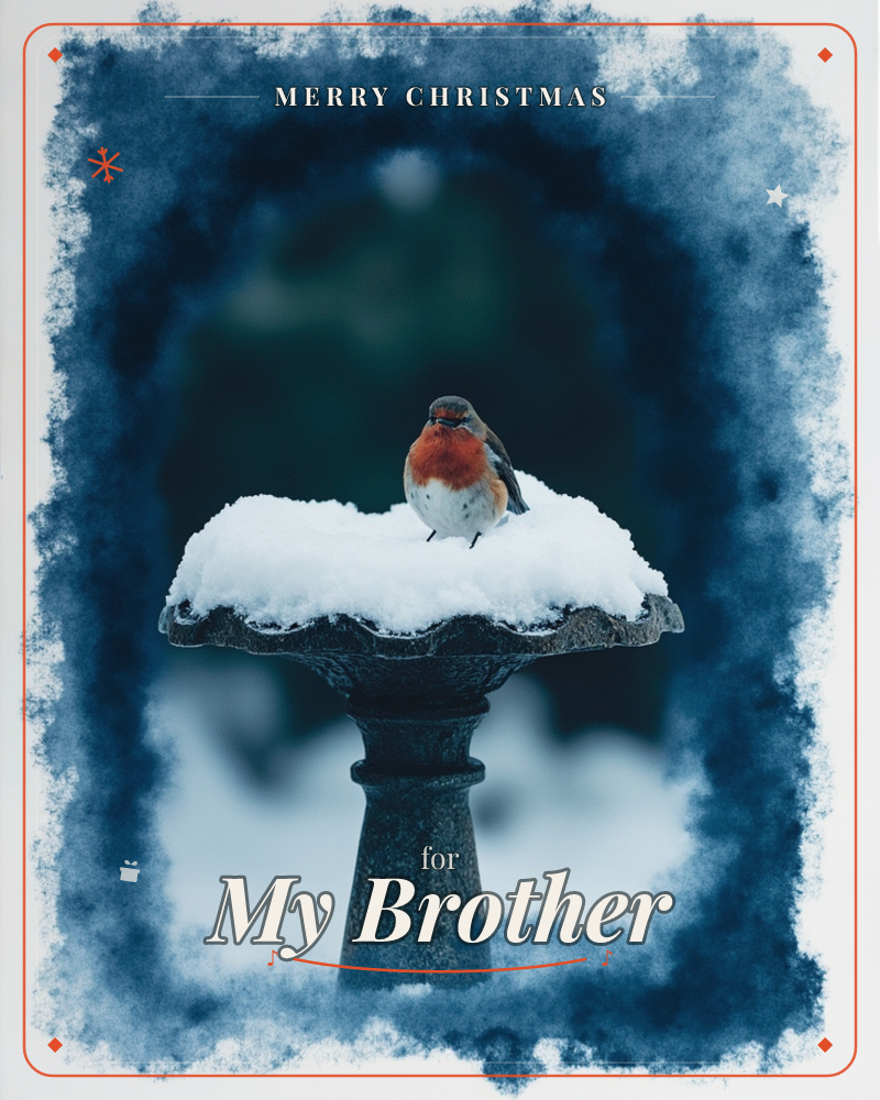A robin with a bright red-orange breast perches on the snow-capped rim of a stone birdbath, its dark garden surroundings soft and blurred behind it, a christmas e-card design