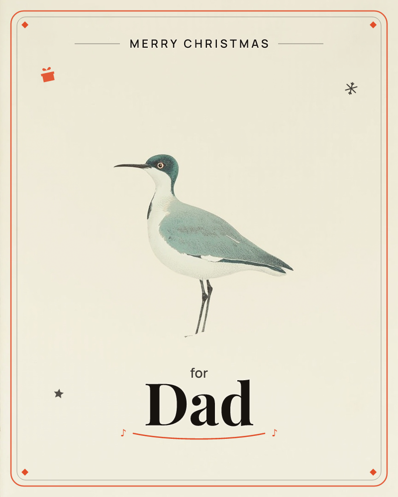 A slender wading bird stands in profile against a plain cream background, its long dark legs planted neatly and its slim beak pointed left, a christmas e-card design