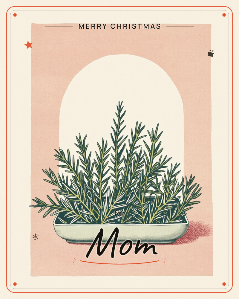 A shallow white planter holds a bushy sprig of rosemary, its needled stems fanning upward against a cream archway set into a dusty pink background, a christmas e-card design