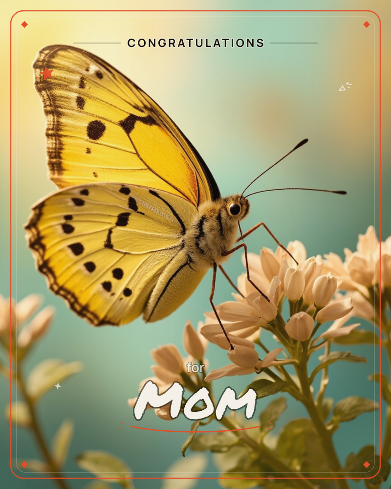 A close-up photograph of a yellow butterfly with black spots and delicate veined wings, perched on a cluster of small white blossoms, a congratulations e-card design