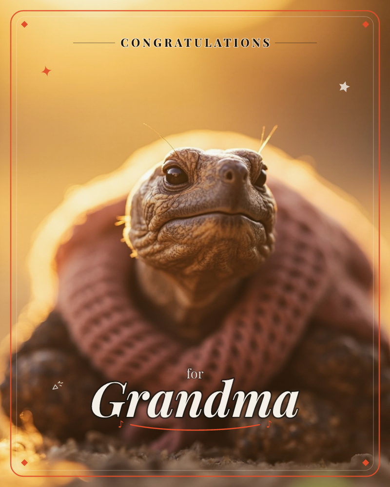 A tortoise gazes straight into the camera, its shell wrapped snugly in a chunky knitted rust-pink sweater, a congratulations e-card design