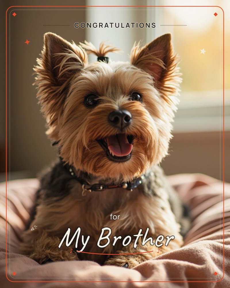 A small Yorkshire terrier sits alert and grinning on a plush pink cushion, its wiry tan-and-grey coat catching soft window light from behind, a congratulations e-card design