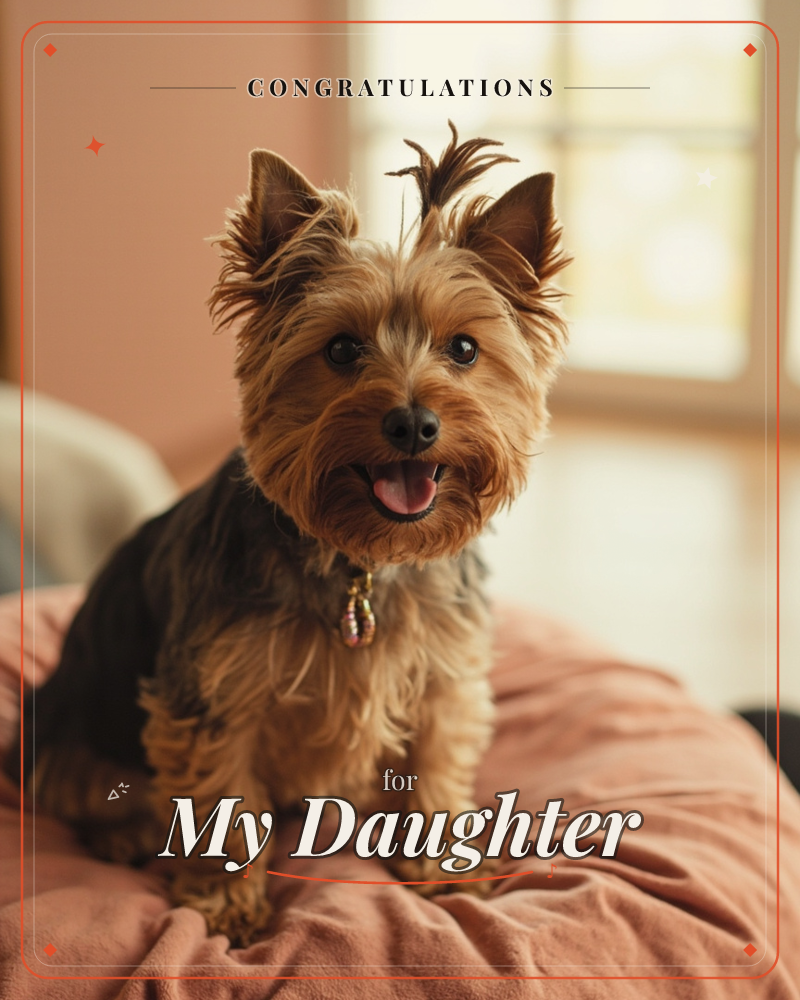 A small terrier sits perched on a rumpled bed, tongue out and ears half-cocked, catching a shaft of warm afternoon light from a window behind, a congratulations e-card design