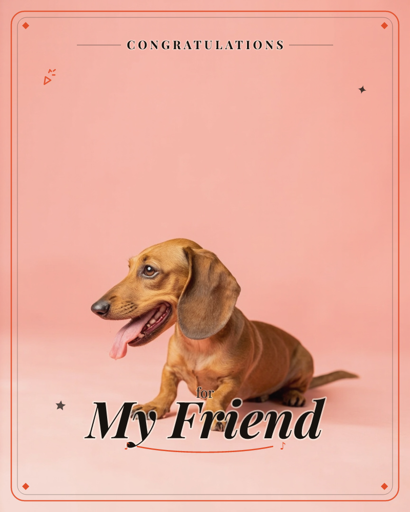 A dachshund sits against a studio backdrop of soft pink fading to grey, its tongue lolling out mid-pant and one ear flopped forward, a congratulations e-card design