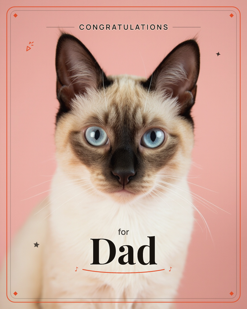 A Siamese cat with striking pale blue eyes and dark pointed ears stares straight into the camera against a solid coral-pink background, a congratulations e-card design