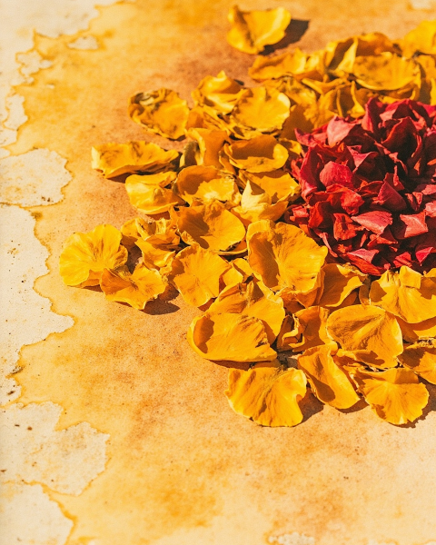 Diwali e-card design