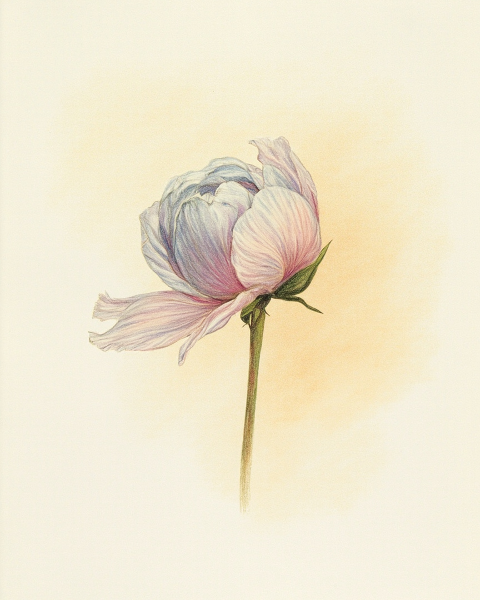 Easter e-card design