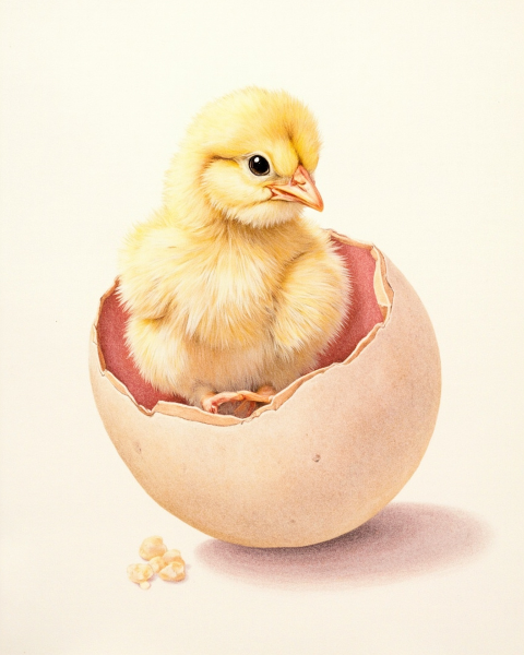 Easter e-card design