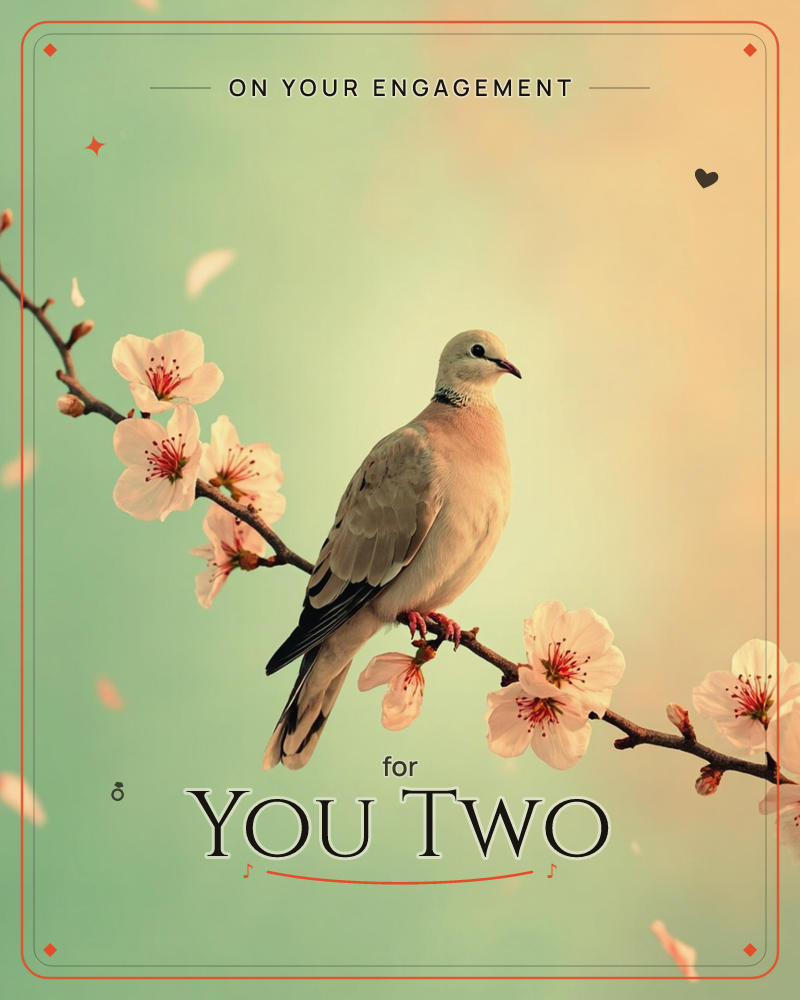 A collared dove rests on a blossoming branch, its soft grey-fawn feathers catching a warm, hazy light, a engagement e-card design
