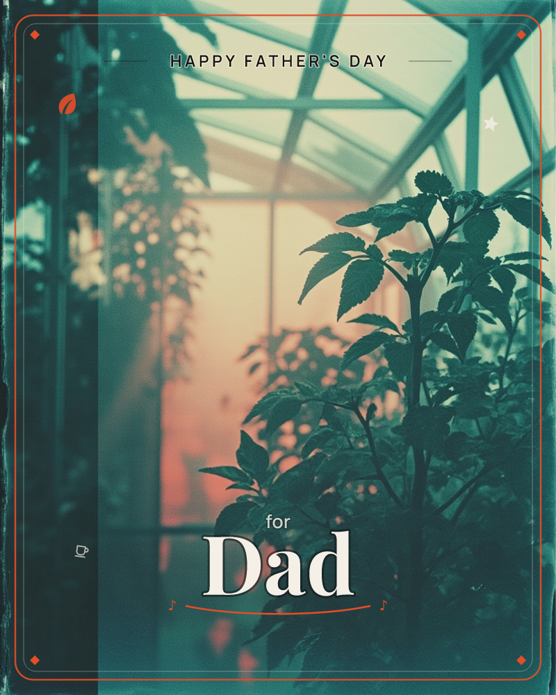 A greenhouse interior glows at dusk, its glass panes and iron struts arching overhead as leafy plants stand in silhouette against a hazy pink light, a fathersday e-card design