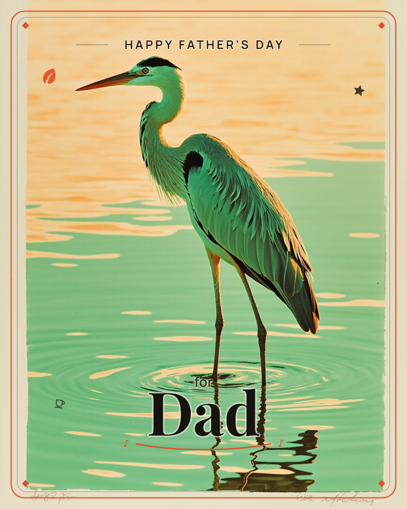A heron stands still in shallow water, its long neck curved and its green-toned feathers catching streaks of warm evening light, a fathersday e-card design