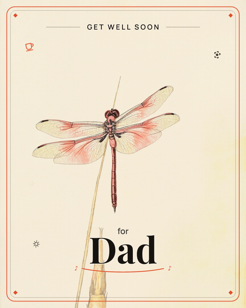 A single red dragonfly perches at the top of a slender reed against a plain cream background, its four gauzy wings veined in fine black lines and…, a getwell e-card design