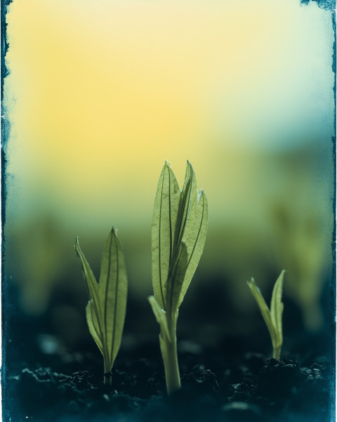 Getwell e-card design