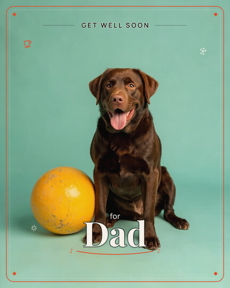 A chocolate Labrador sits for a studio portrait against a soft teal backdrop, tongue out and ears relaxed in a happy pant, a getwell e-card design