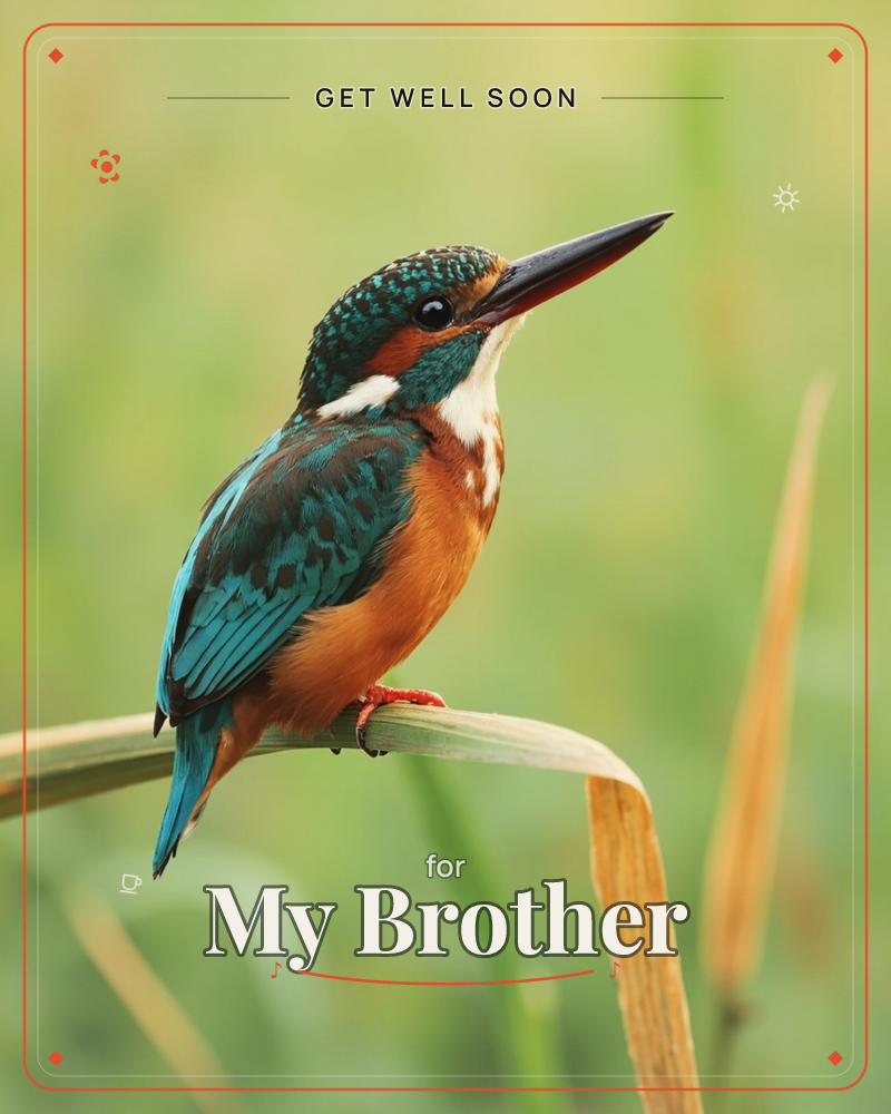 A kingfisher perches on a slender reed blade, its turquoise back and rust-orange breast catching soft daylight against a blurred green riverbank backdrop, a getwell e-card design