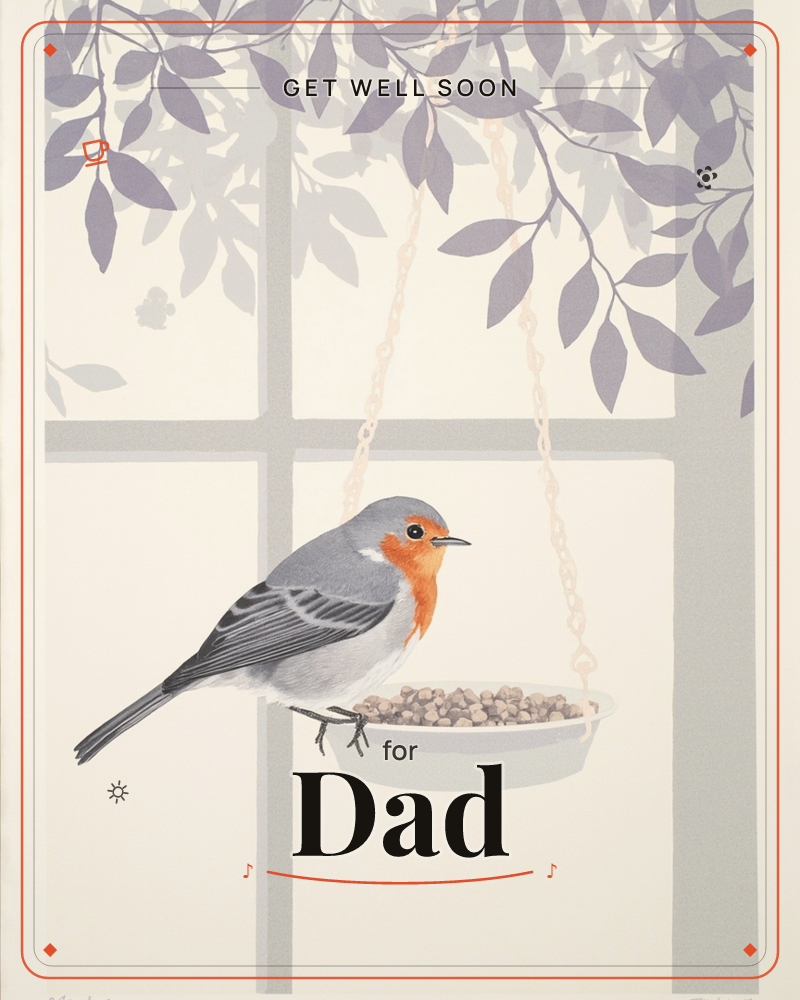 A robin with a bright orange face and breast perches on the edge of a hanging bird feeder filled with seed, set against a pale window and a muted…, a getwell e-card design