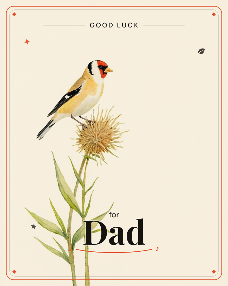 A goldfinch with a bright red face and black-and-gold wings perches on a dried, spiky thistle head, its slender green stems and leaves rising against a…, a good luck e-card design