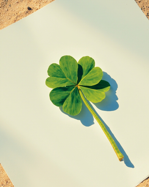 Good luck e-card design