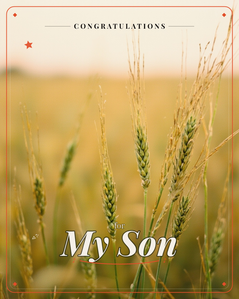 A close-up photograph of wheat stalks standing in a sunlit field, their green heads and golden whiskers catching a warm, hazy afternoon light, a graduation e-card design